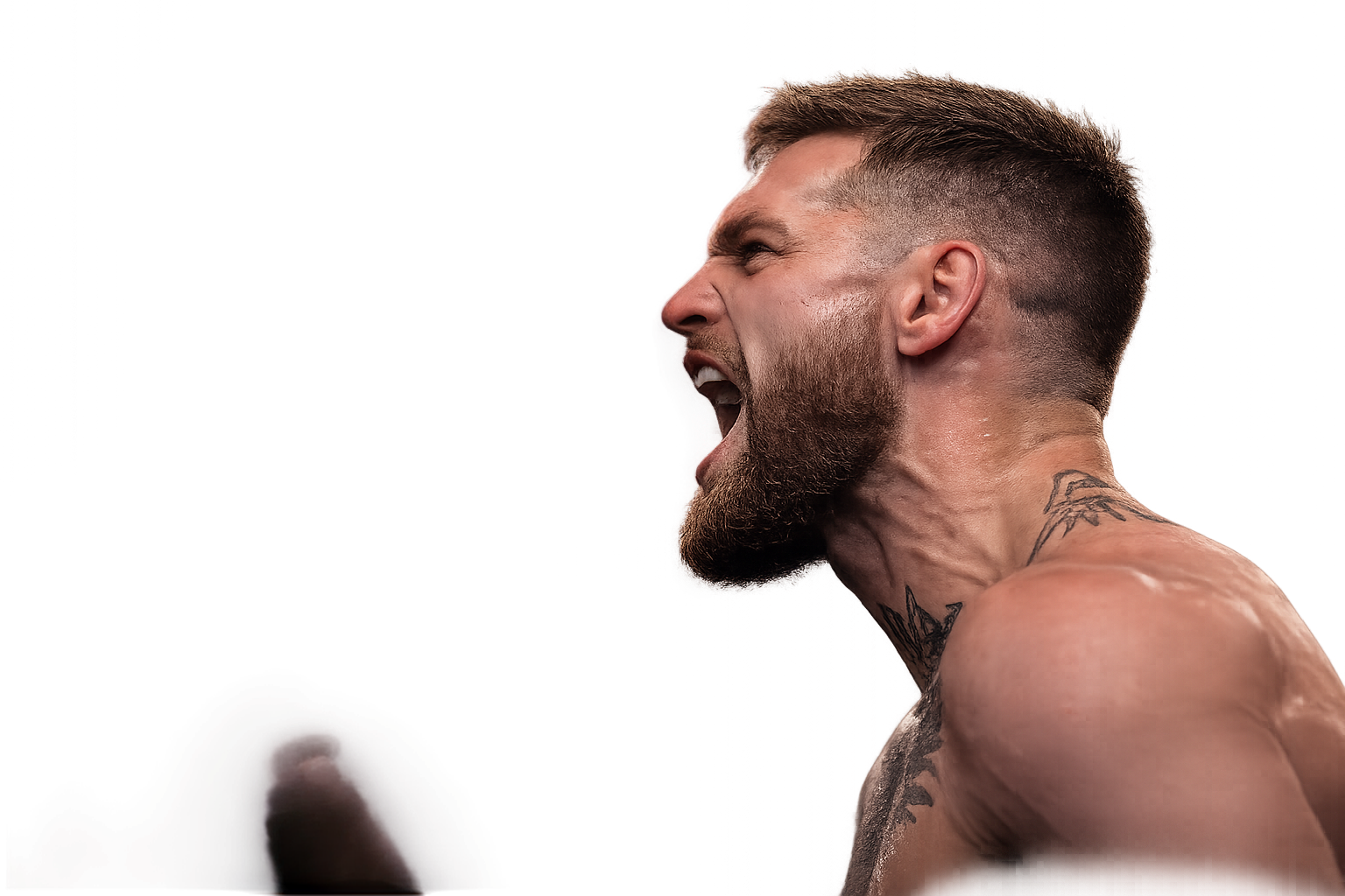 Fighter shouting, facing off